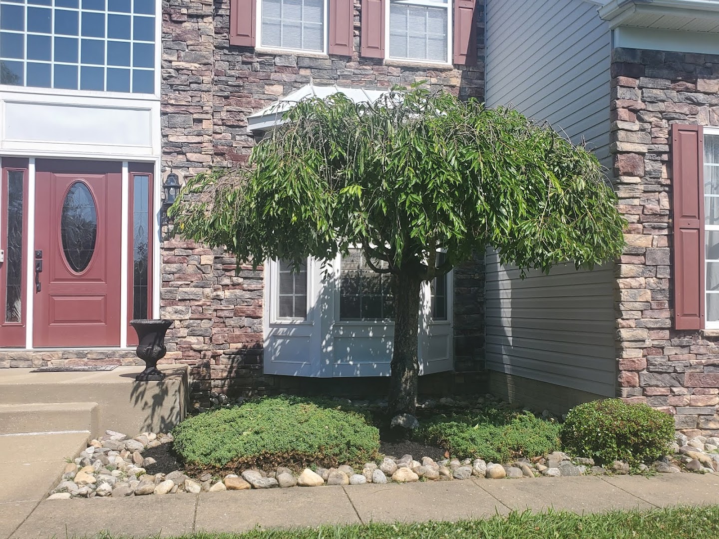 Fresh mulch bed and trimmed shrubs at front entry, Cecil County