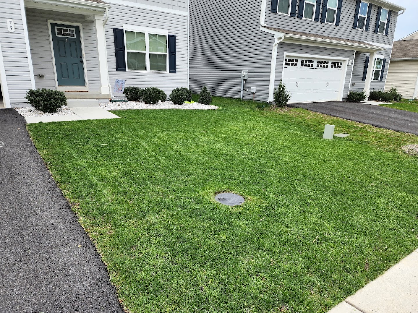 Manicured front lawn, North East MD