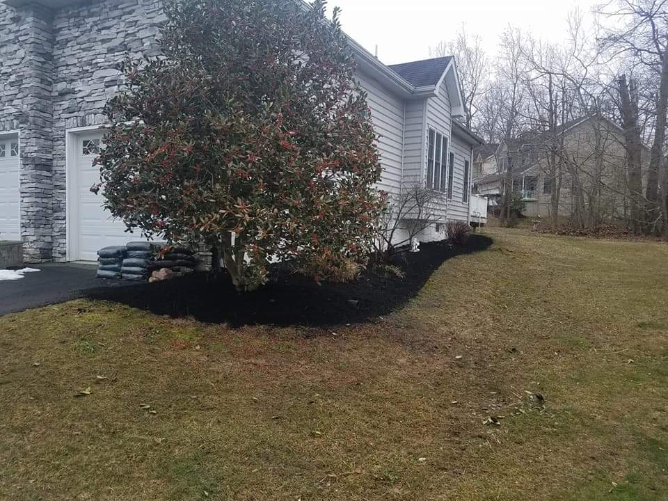 Mulch bed and yard clean-up in progress, North East MD