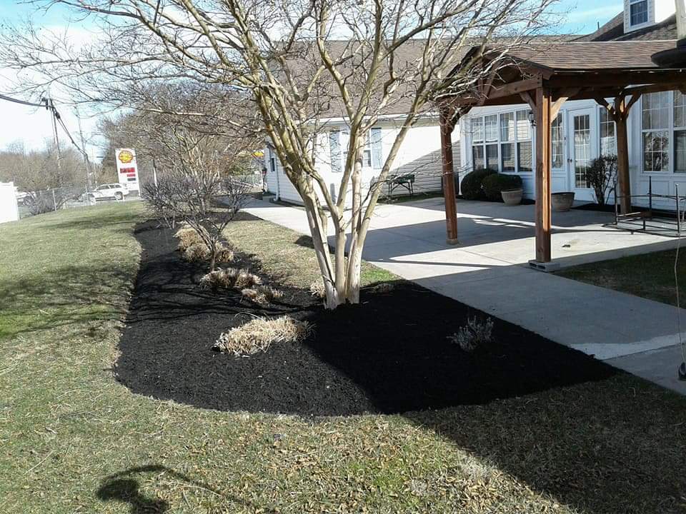 Pergola and mulched landscape bed, Cecil County